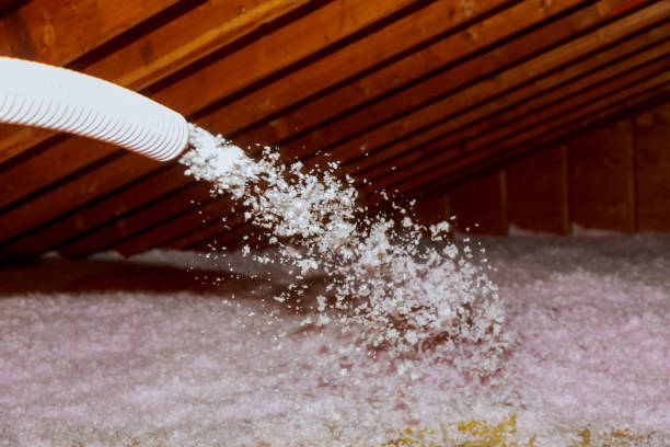 Best Energy Efficiency Solutions in La Puente, CA