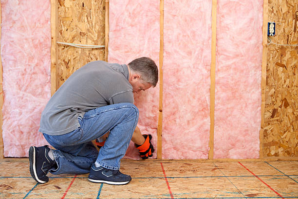 Best Types of Insulation in La Puente, CA